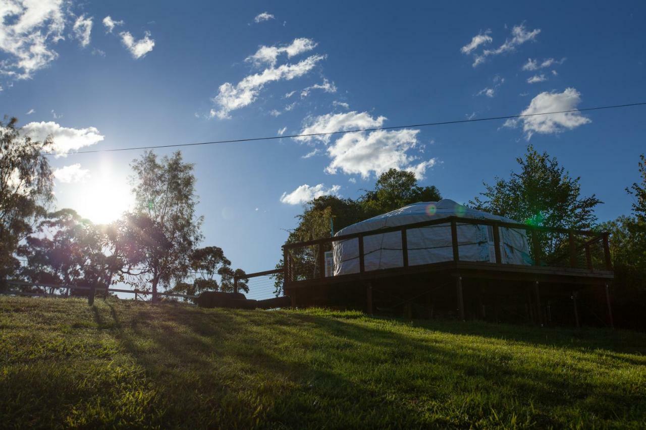 Hotel Awesome Glamping Gold Coast Hinterland Advancetown Exterior foto