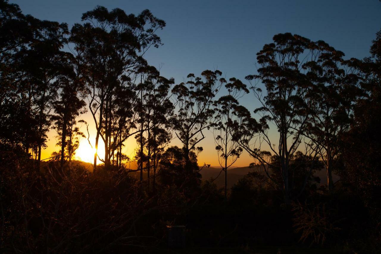 Hotel Awesome Glamping Gold Coast Hinterland Advancetown Exterior foto